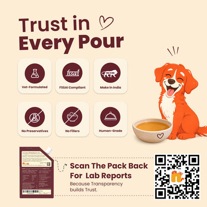 Nibblr Woof Broth - Hydrating Meal Topper for Dogs (100 ml) | Chicken Bone Broth - nootie.in