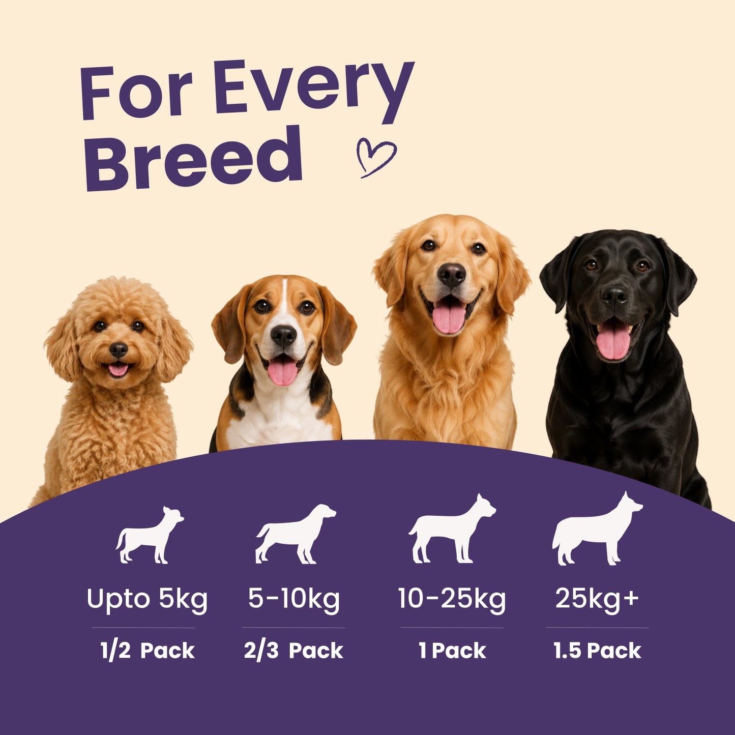 Nibblr Woof Broth - Hydrating Meal Topper for Dogs (100 ml) | Fish Bone Broth - nootie.in