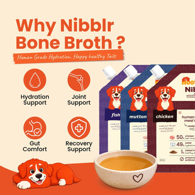 Nibblr Woof Broth - Hydrating Meal Topper for Dogs (3 x 100 ml) | Assorted Combo Pack of 3 Flavors - nootie.in