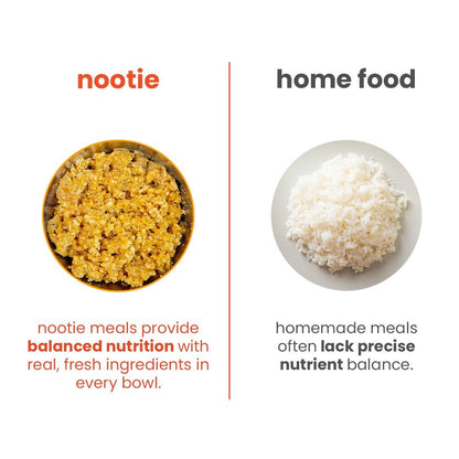 Nootie 7-Day Weekly Dog Meal Plan - Meal Box for Dogs