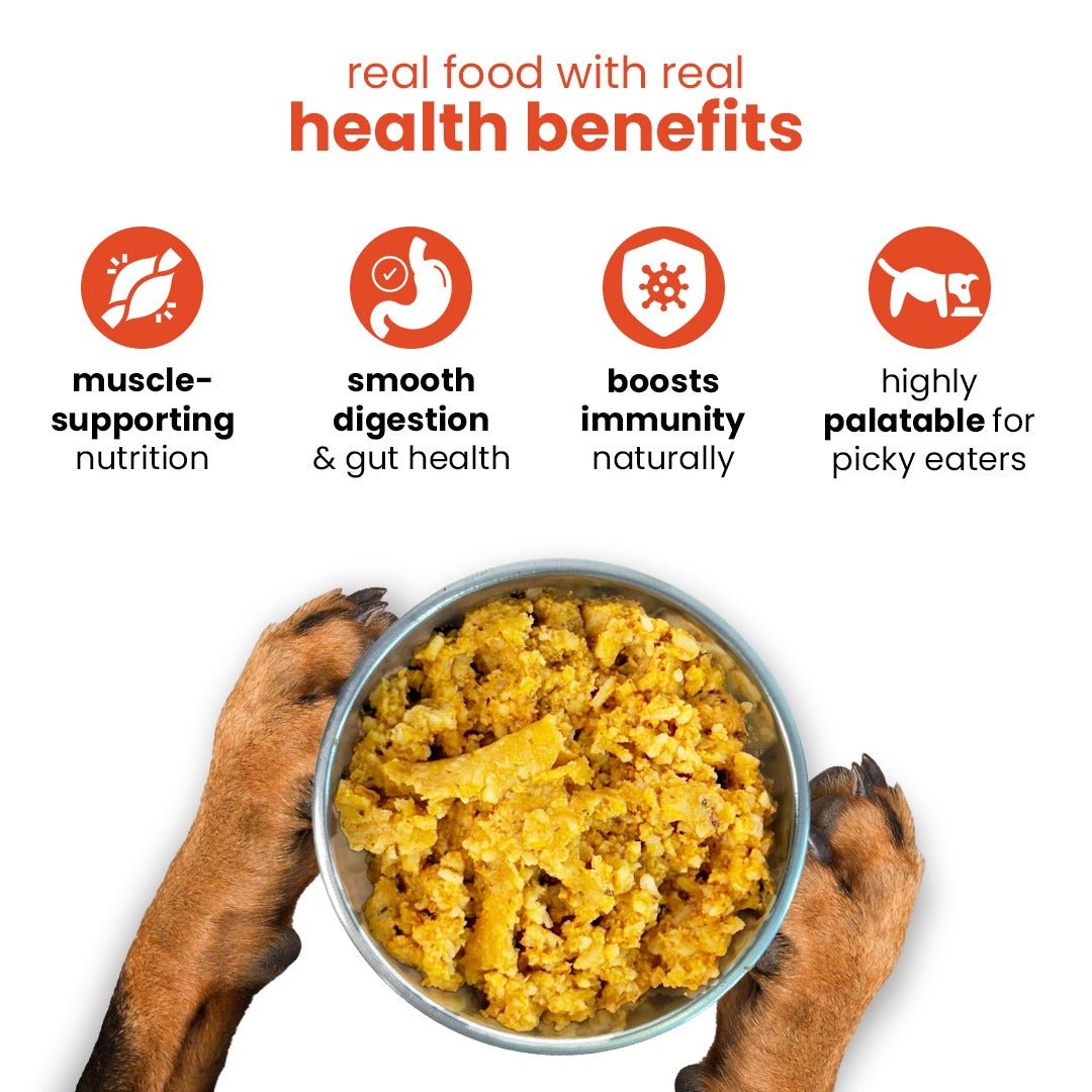 Nootie 7-Day Weekly Dog Meal Plan - Meal Box for Dogs