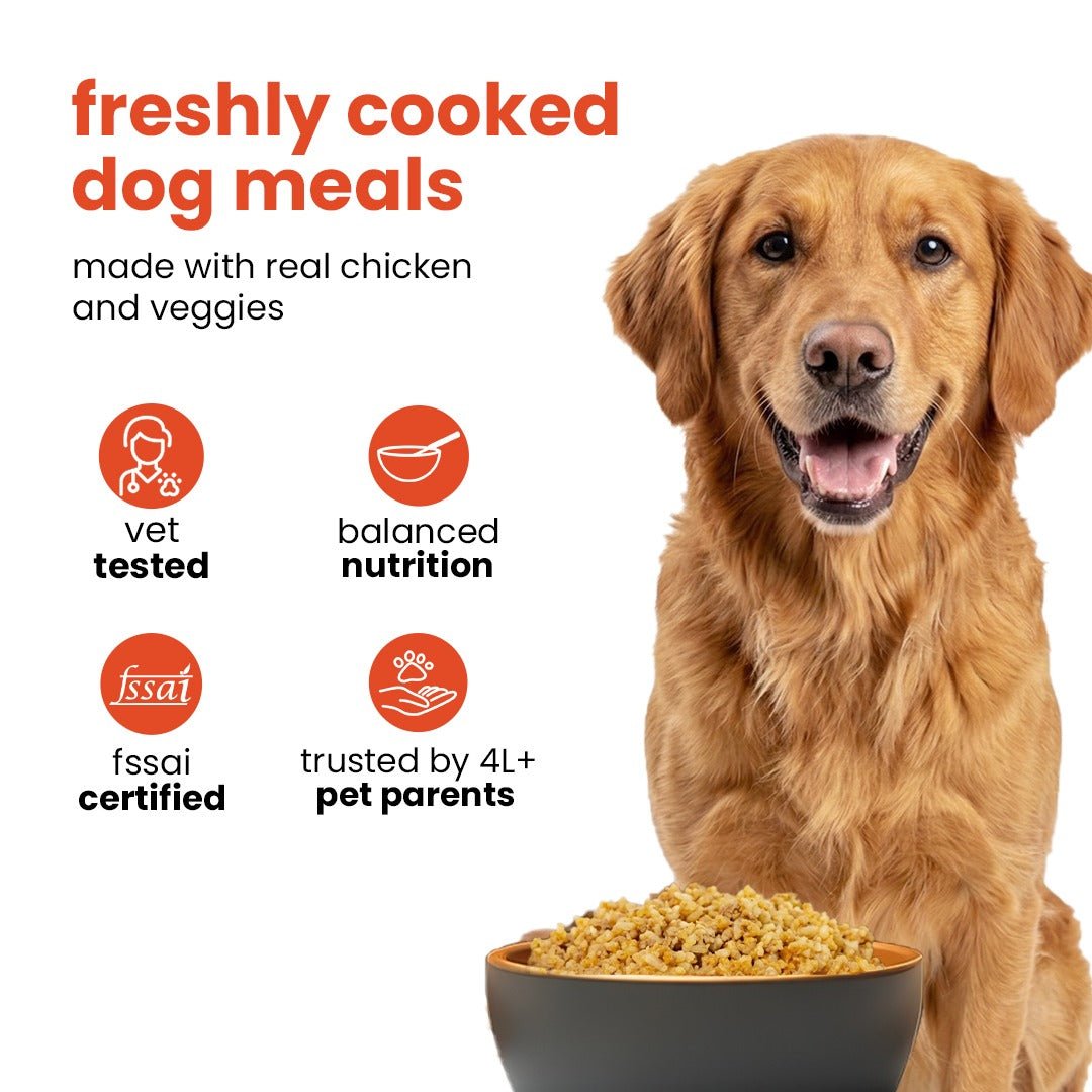 Nootie 7-Day Weekly Dog Meal Plan - Meal Box for Dogs