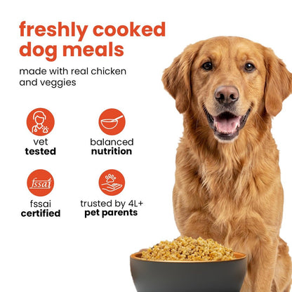 Nootie 7-Day Weekly Dog Meal Plan - Meal Box for Dogs