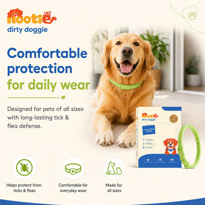 Nootie All Natural Tick & Flea Collar for Dogs & Cats | 5 Months Protection | Waterproof, Adjustable & Chemical-Free Pest Defence - nootie.in