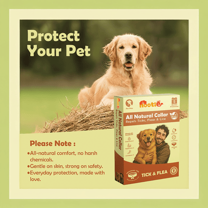 Nootie All Natural Tick & Flea Collar for Dogs & Cats | 5 Months Protection | Waterproof, Adjustable & Chemical - Free Pest Defence - nootie.in