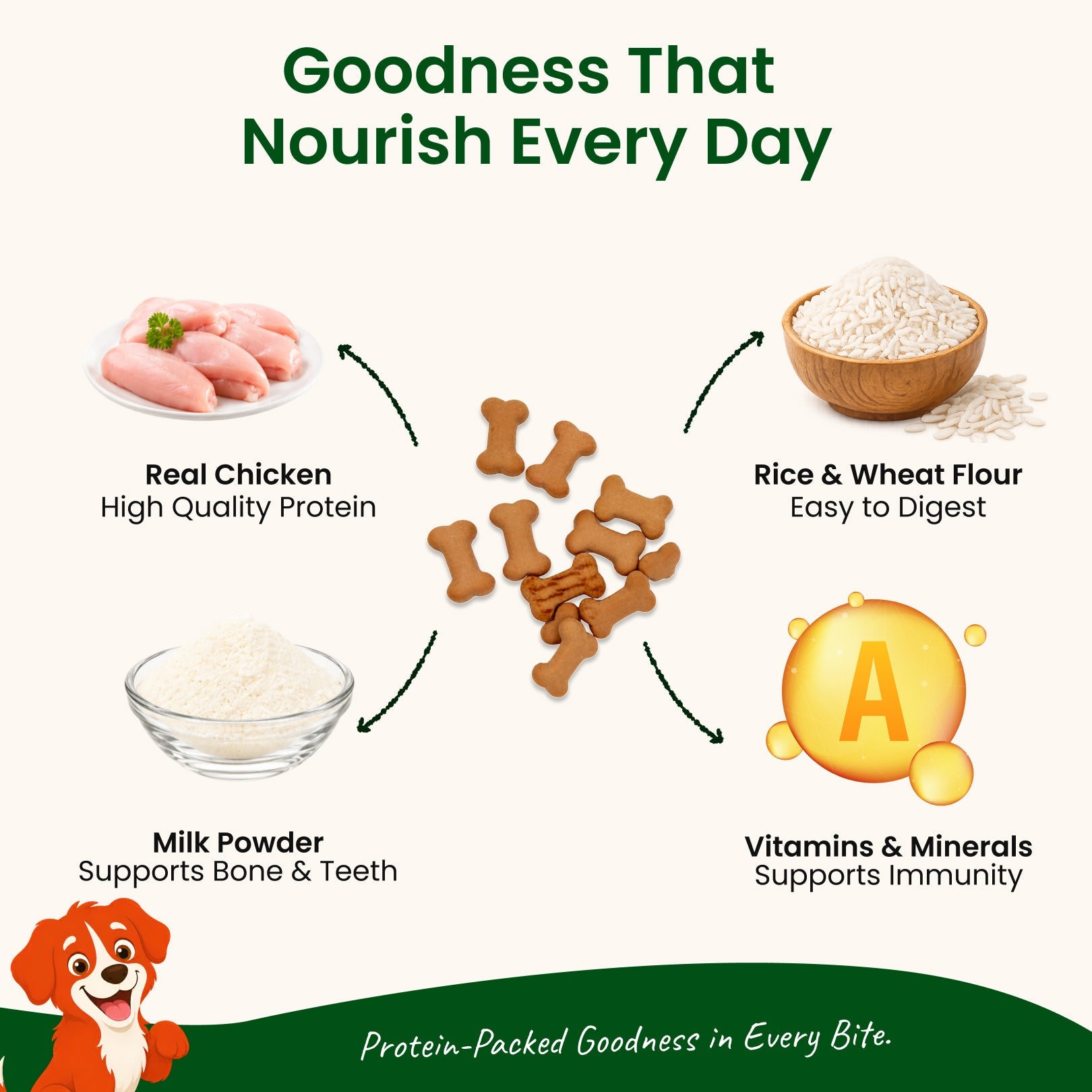Nootie Biscuit 10Rs. Minipack Bundles for Dogs (40g) | Chicken | High Protein - nootie.in