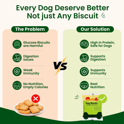Nootie Biscuit 10Rs. Minipack Bundles for Dogs (40g) | Chicken | High Protein - nootie.in