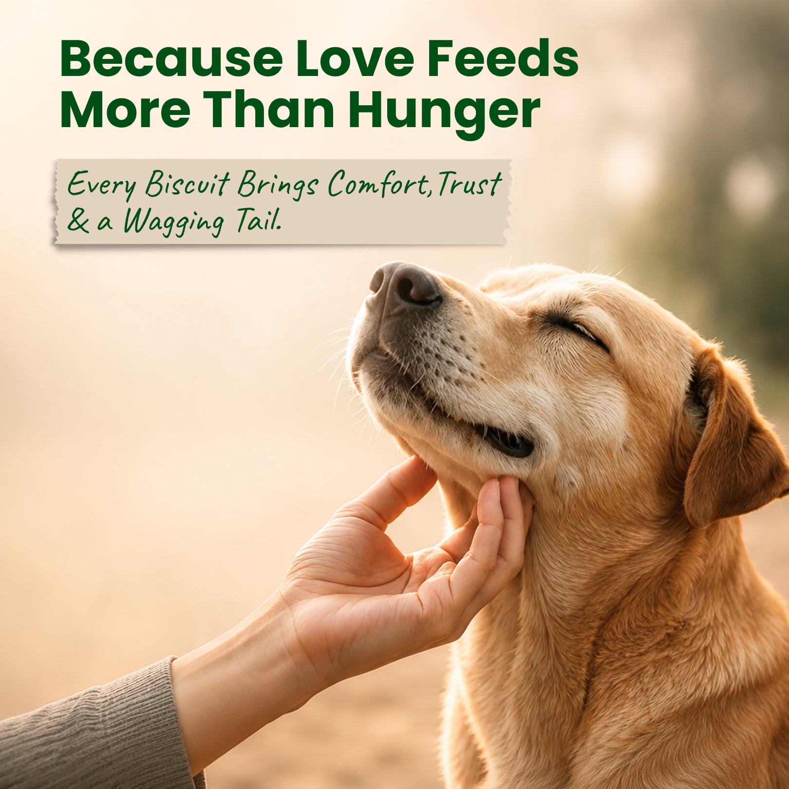 Nootie Biscuit 10Rs. Minipack Bundles for Dogs (40g) | Chicken | High Protein - nootie.in