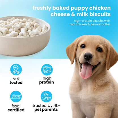 Nootie Chicken Biscuits with Milk and Cheese Flavour for Puppies (900g) | High - Protein, Crunchy Growth Snack - nootie.in