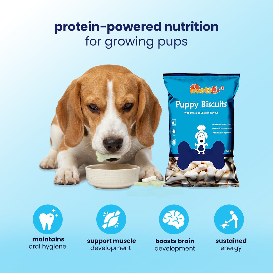 Nootie Chicken Biscuits with Milk and Cheese Flavour for Puppies (900g) | High - Protein, Crunchy Growth Snack - nootie.in