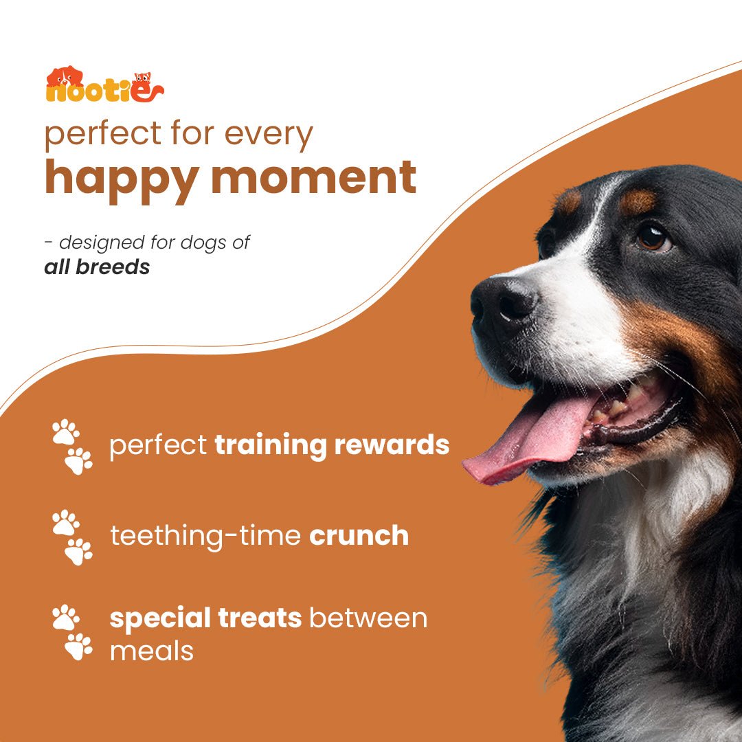 Nootie Chicken & Peanut Butter Dog Biscuits (900g)