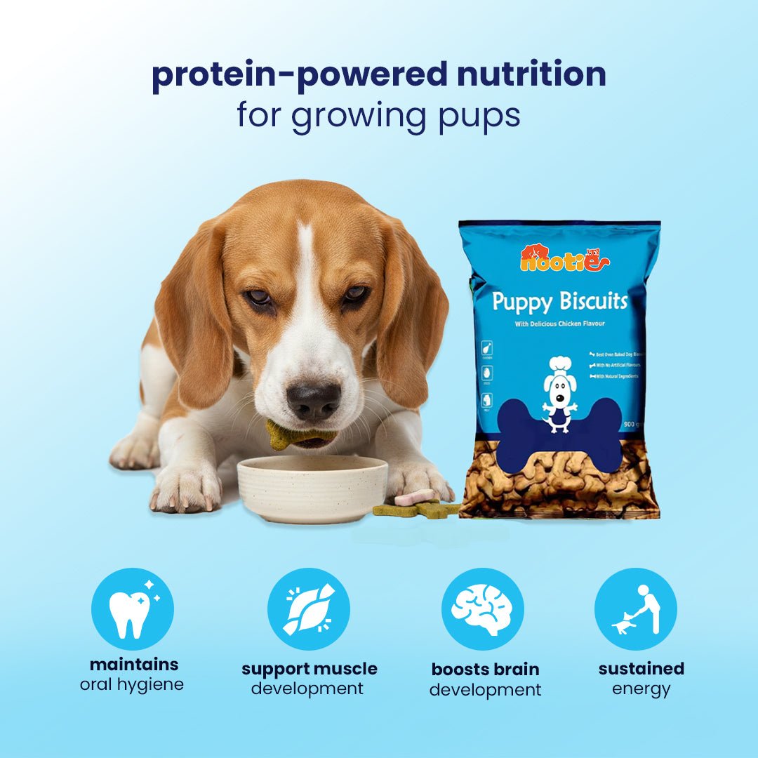 Nootie Chicken & Peanut Butter Puppy Biscuits (900g) 