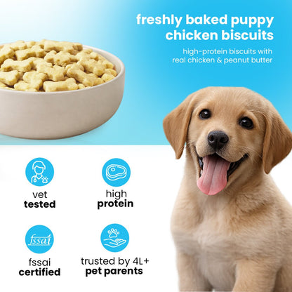 Nootie Chicken & Peanut Butter Puppy Biscuits (900g) 