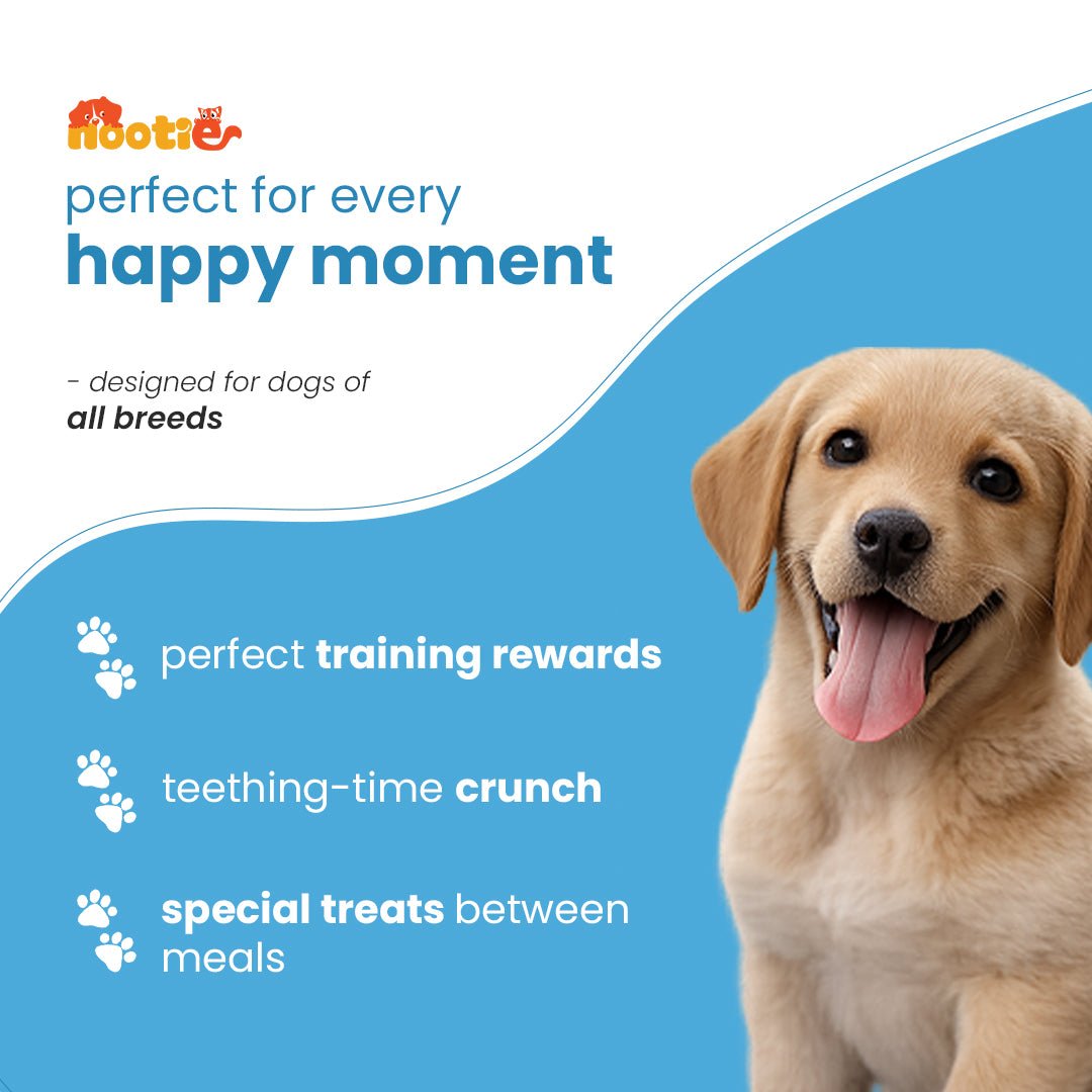 Nootie Chicken & Peanut Butter Puppy Biscuits (900g) 