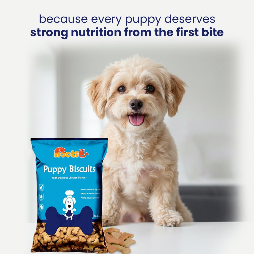 Nootie Chicken & Peanut Butter Puppy Biscuits (900g) 