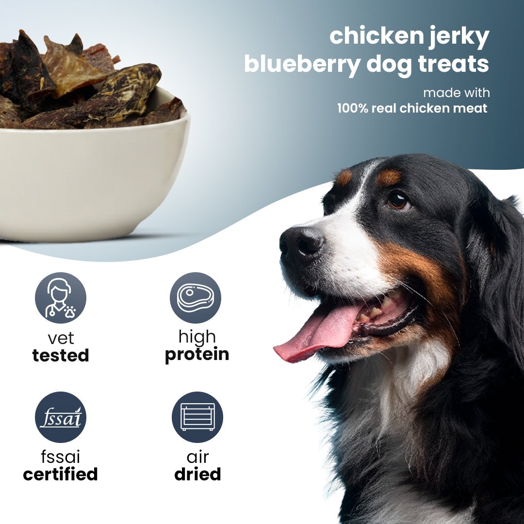 Nootie Chicken & Blueberry Jerky Dog Treats (80g) - Natural Antioxidant - Rich Grain - Free Dog Treats - nootie.in