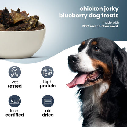 Nootie Chicken & Blueberry Jerky Dog Treats (80g) - Natural Antioxidant - Rich Grain - Free Dog Treats - nootie.in