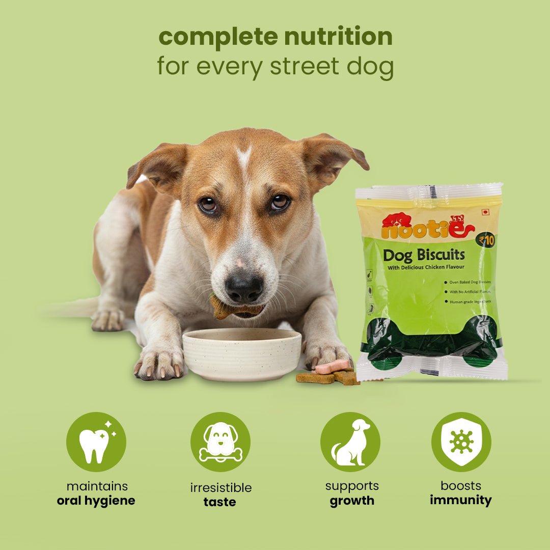 Nootie Chicken Dog Biscuits (40g) - Crunchy Dog Biscuits