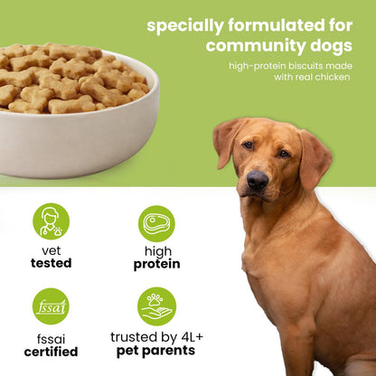 Nootie Chicken Dog Biscuits (40g) - Crunchy Dog Biscuits