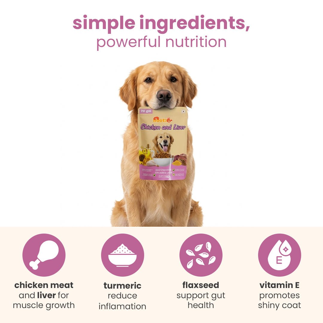 Nootie Chicken & Liver Gravy Dog Food | High - Protein, Energy Boosting & Digestive Support (70g) – a great option in meals for dog - nootie.in
