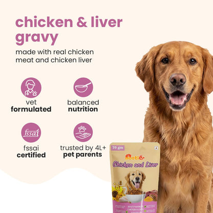 Nootie Chicken & Liver Gravy Dog Food | High - Protein, Energy Boosting & Digestive Support (70g) – a great option in meals for dog - nootie.in
