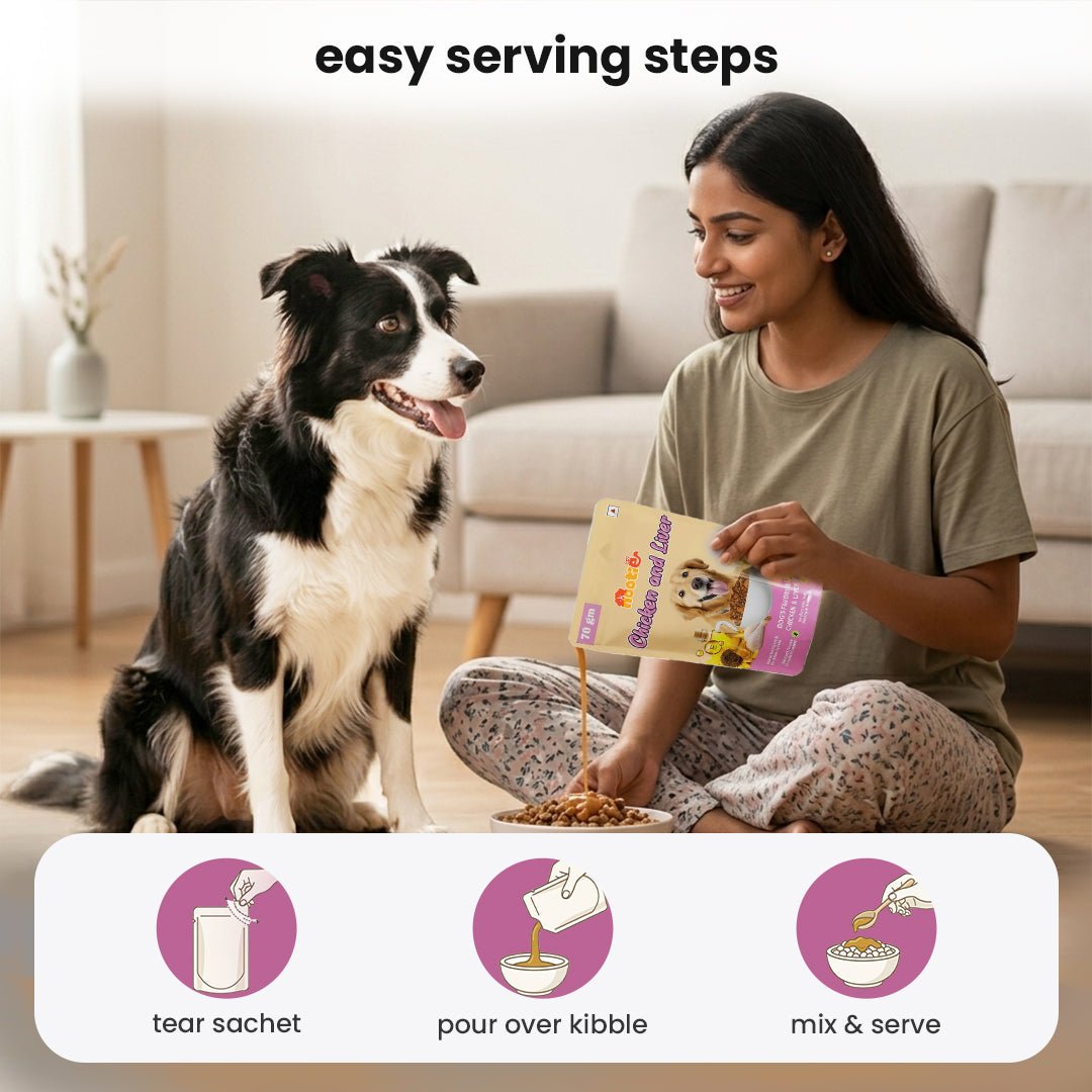 Nootie Chicken & Liver Gravy Dog Food | High - Protein, Energy Boosting & Digestive Support (70g) – a great option in meals for dog - nootie.in