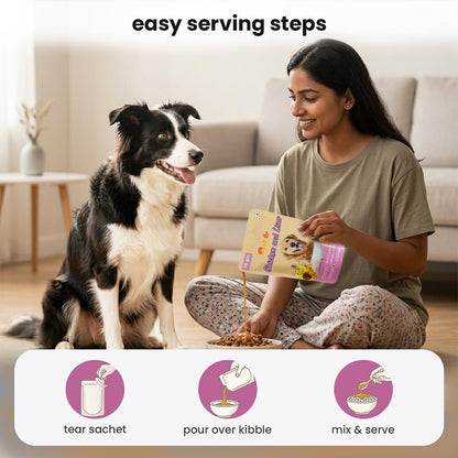 Nootie Chicken & Liver Gravy Dog Food | High - Protein, Energy Boosting & Digestive Support (70g) – a great option in meals for dog - nootie.in