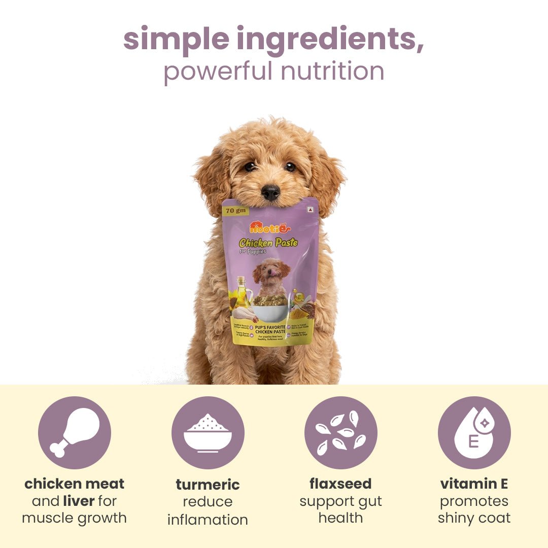 Nootie Chicken Paste for Puppies (70g) - High - Protein Growth Formula & Easy Digest Energy Food - nootie.in