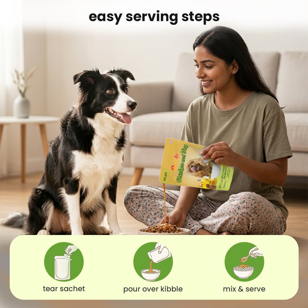 Nootie Chicken & Veg Dog Food Gravy | High - Protein, Fiber - Rich & Digestive Support (70g) - nootie.in