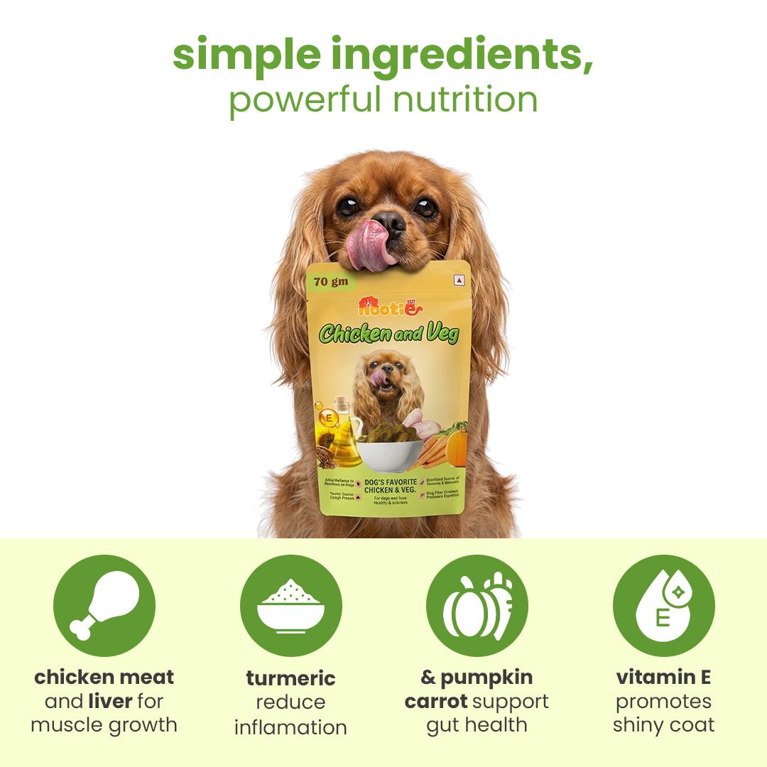 Nootie Chicken & Veg Dog Food Gravy | High - Protein, Fiber - Rich & Digestive Support (70g) - nootie.in