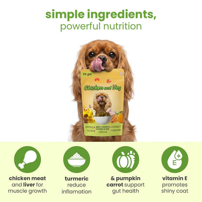 Nootie Chicken & Veg Dog Food Gravy | High - Protein, Fiber - Rich & Digestive Support (70g) - nootie.in