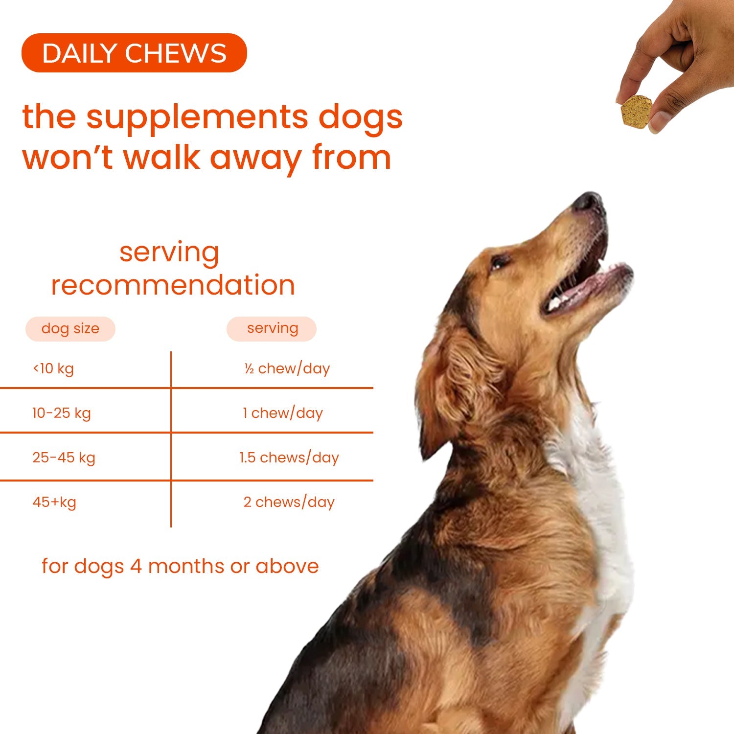 Multivitamin for Dogs - Nootie+ Daily Multivitamin Chews for Dogs 