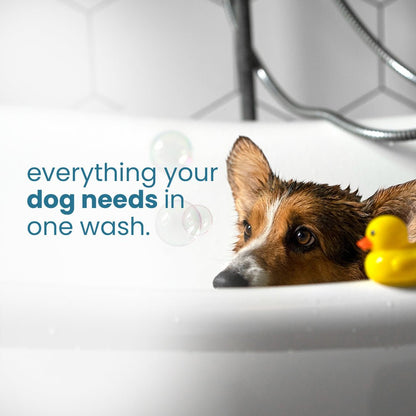 Nootie Dirty Doggie Combo: Conditioning Shampoo + Tick & Flea Shampoo (300 ml Buy1Get1 FREE) | Neem, Vitamin E & Coat Repair - nootie.in