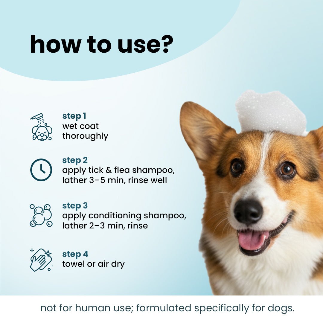 Nootie Dirty Doggie Combo: Conditioning Shampoo + Tick & Flea Shampoo (300 ml Buy1Get1 FREE) | Neem, Vitamin E & Coat Repair - nootie.in