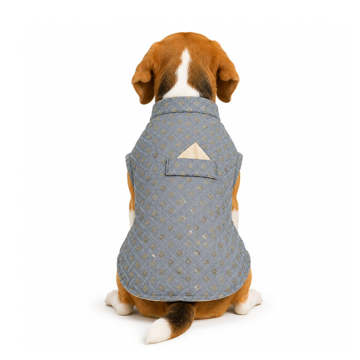 Nootie Dog Kurta - Grey Brocade | Traditional Ethnic Outfit for Weddings, Festivals and Celebrations - nootie.in