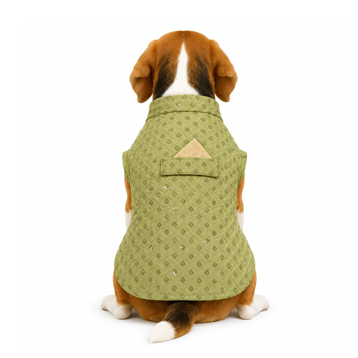 Nootie Dog Kurta - Lime Brocade | Traditional Ethnic Outfit for Weddings, Festivals and Celebrations - nootie.in