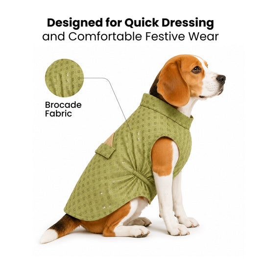 Nootie Dog Kurta - Lime Brocade | Traditional Ethnic Outfit for Weddings, Festivals and Celebrations - nootie.in