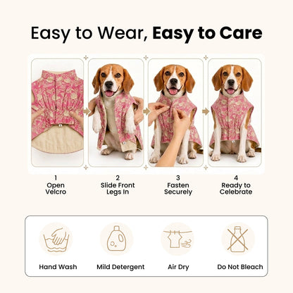 Nootie Dog Kurta - Pink Brocade | Traditional Ethnic Outfit for Weddings, Festivals and Celebrations - nootie.in