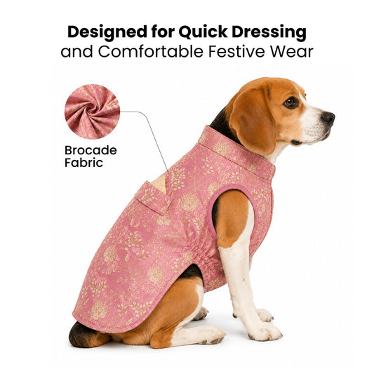 Nootie Dog Kurta - Pink Brocade | Traditional Ethnic Outfit for Weddings, Festivals and Celebrations - nootie.in