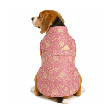 Nootie Dog Kurta - Pink Brocade | Traditional Ethnic Outfit for Weddings, Festivals and Celebrations - nootie.in