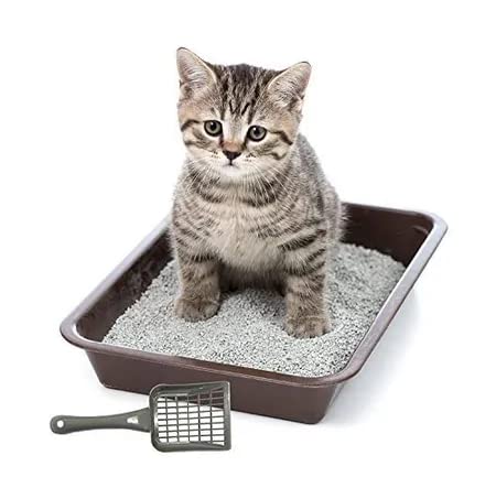 Nootie Durable Cat Litter Scooper | High - Grade Plastic, Easy - Clean Scoop for Cat Litter Boxes | 1 Piece (Color May Vary) - nootie.in