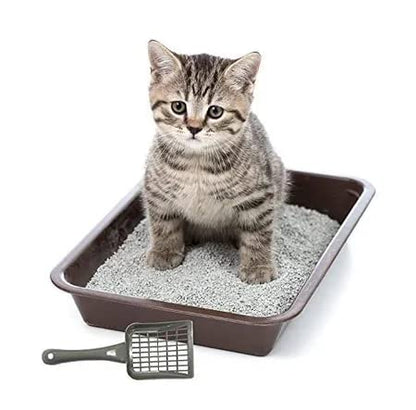 Nootie Durable Cat Litter Scooper | High - Grade Plastic, Easy - Clean Scoop for Cat Litter Boxes | 1 Piece (Color May Vary) - nootie.in