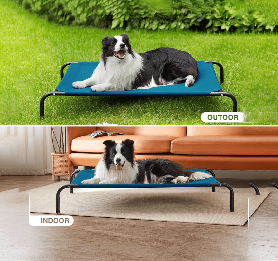 Nootie Elevated Dog Bed