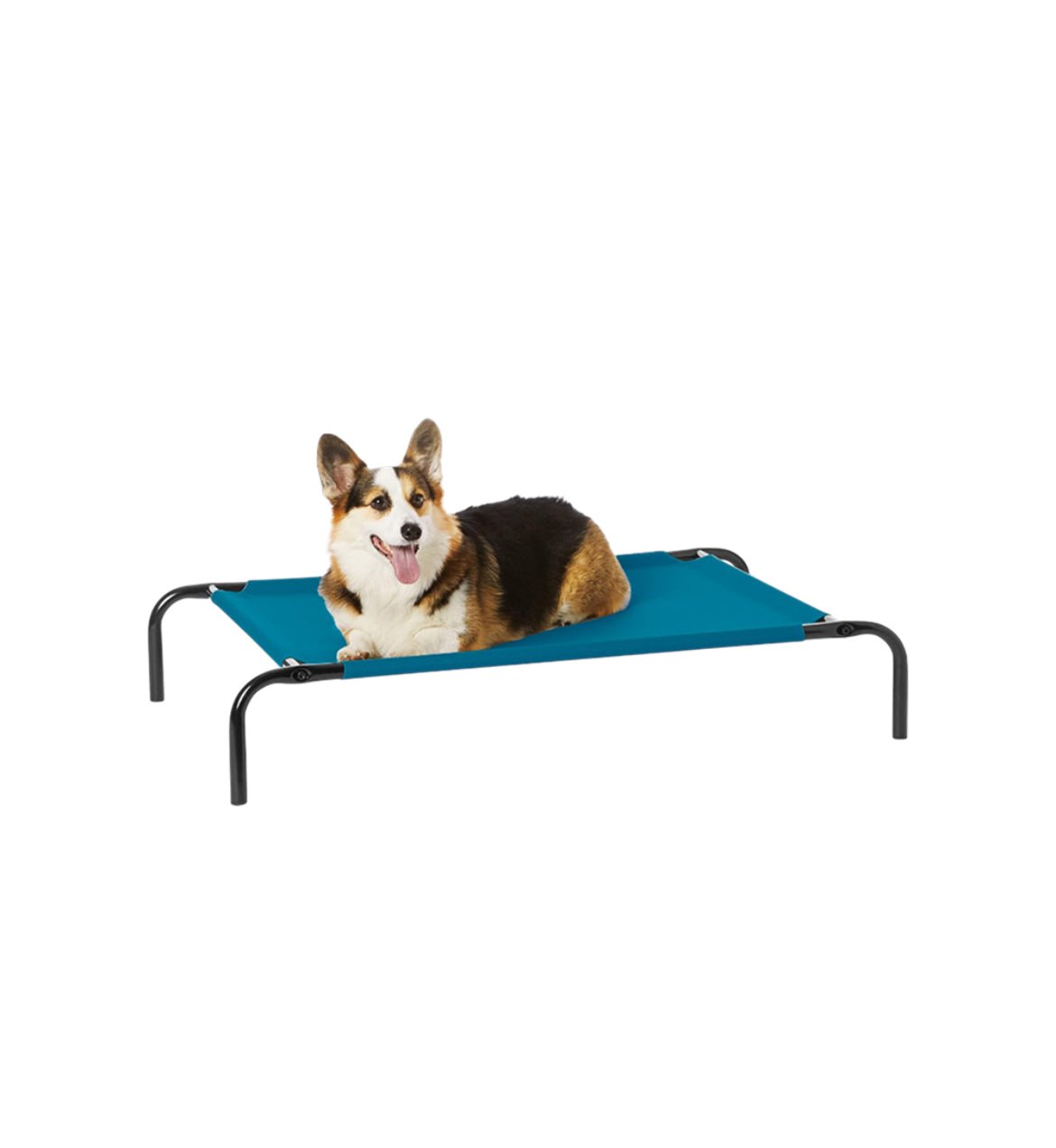 Nootie Elevated Dog Bed
