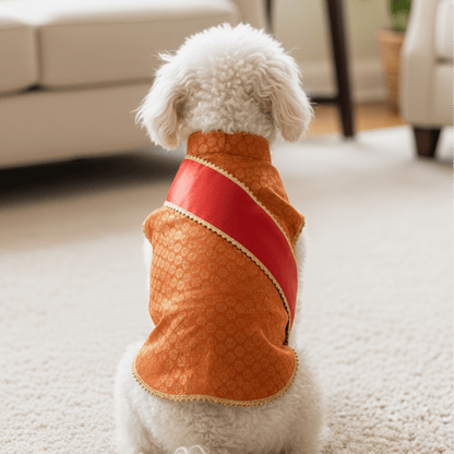 Nootie Festive Sherwani with Chunni for Pets – Orange | Stylish Outfit for Weddings & Festivals - nootie.in