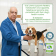 Nootie+ Health Chews for Dogs (30 chews) | Probiotics for Gut Health - Digestive Support, Firmer Stools & Yeast Balance