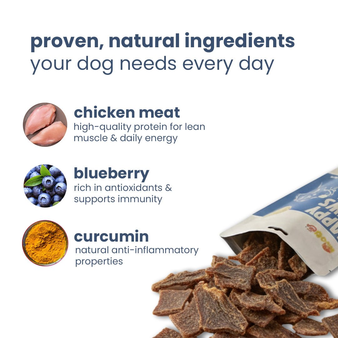 Nootie Chicken & Blueberry Jerky Antioxidant Dog Treats (80g) 