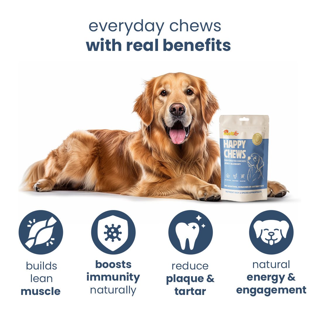 Nootie Chicken & Blueberry Jerky Antioxidant Dog Treats (80g) 