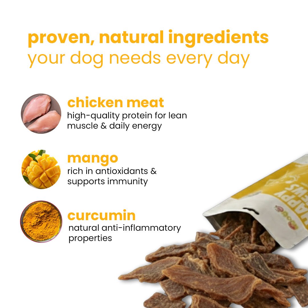 Nootie Fruit and Chicken Dog Treats (80g) 