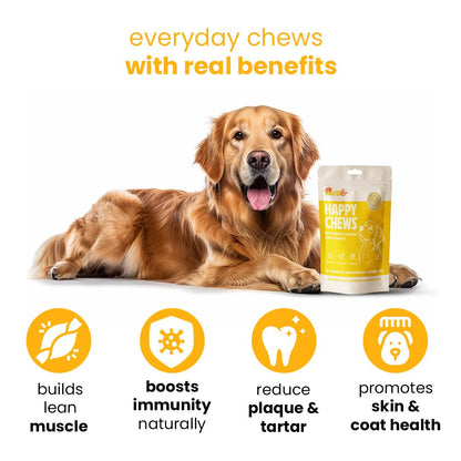 Nootie Fruit and Chicken Dog Treats (80g) 
